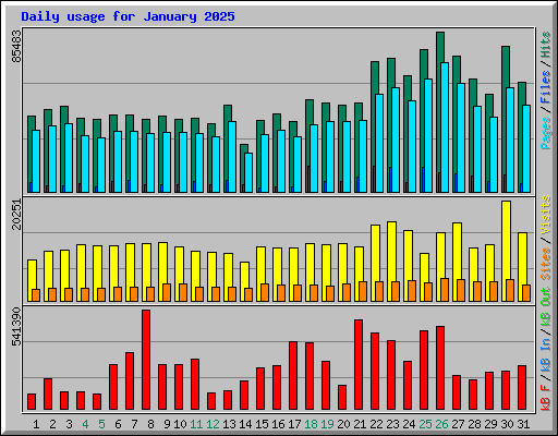 Daily usage for January 2025