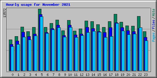 Hourly usage for November 2021