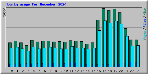 Hourly usage for December 2024