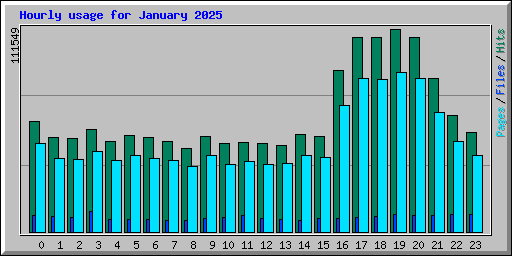 Hourly usage for January 2025