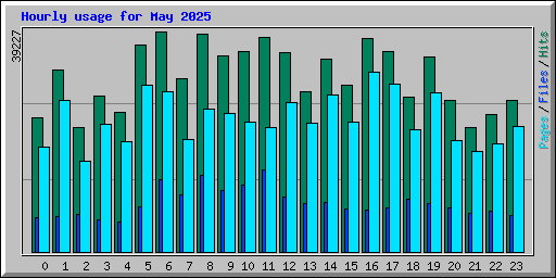 Hourly usage for May 2025