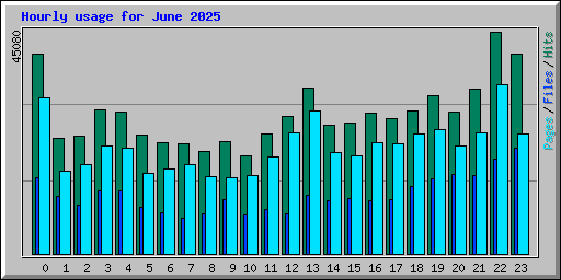 Hourly usage for June 2025