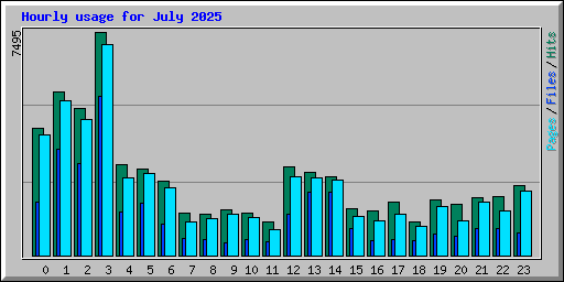 Hourly usage for July 2025