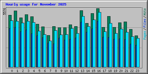 Hourly usage for November 2025